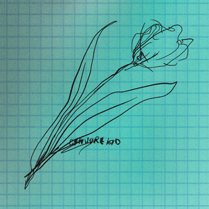 白嫩丰满少妇美女无套
